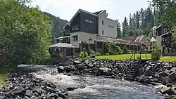 Частный дом на берегу р.&nbsp;Большая Слизнева