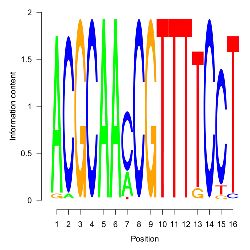 мотив сайта связывания пуринового репрессора PurR из Escherichia coli