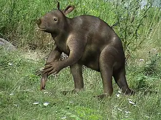 Propleopus oscillans (реконструкция)