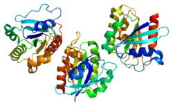 PDB rendering based on 2h57.