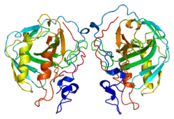 PDB rendering based on 1znc.