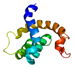 PDB представлено на основе 2h7b.
