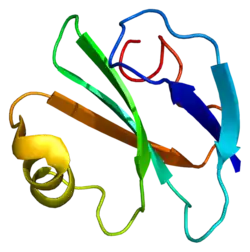 PDB прорисовано на основе 1cdq.