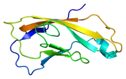 PDB прорисовано на основе 1ncg.