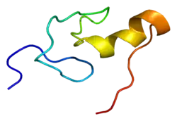 PDB представлено на основе 1gnf.