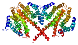 PDB прорисовано на основе 1m7w.