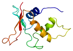 PDB в комплексе с 1irf.