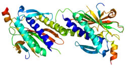 Представлено на основе PDB 3ABD.