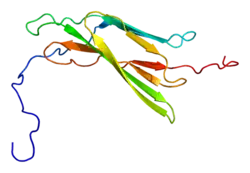 PDB rendering based on 2dbj.