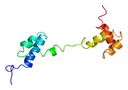 PDB представлено на основе 1a5j.