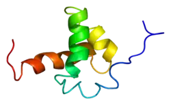 PDB представлено на основе 1xc5.