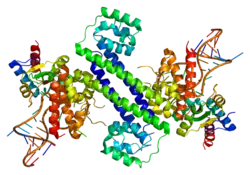PDB прорисовано по 2ozb.