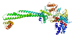 PDB представлено на примере 2iw5.
