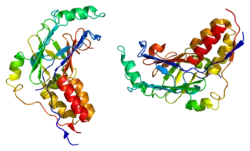 PDB представлено на основе 1dev.