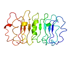 Модель по 1XUM.