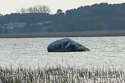 Камень дьявола