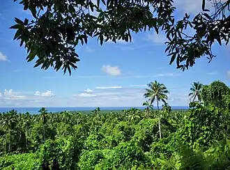 Вид с кургана Пулемелей