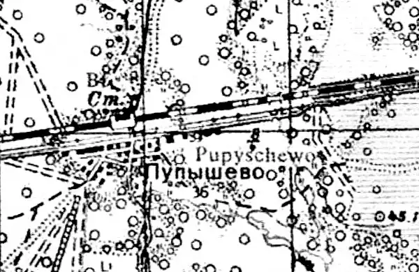 План деревни Пупышево. 1941 год