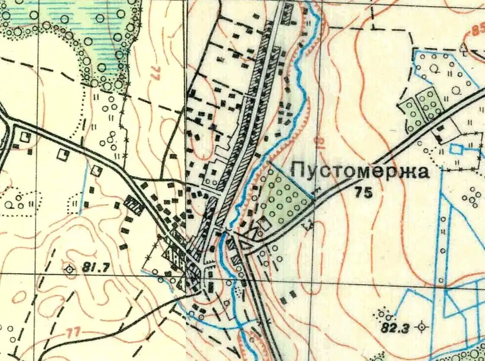 План деревни Большая Пустомержа. 1930 год