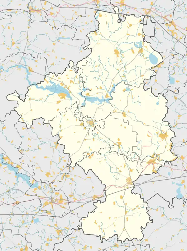 Кожино (деревня, Рузский городской округ) (Рузский район)