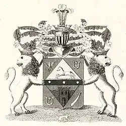 Старыконь доп.