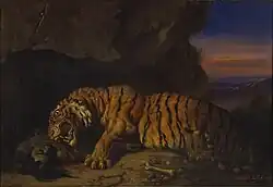 Тигр-людоед.