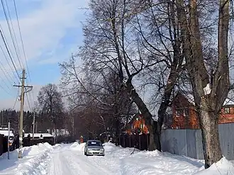 Улица в деревне Раево