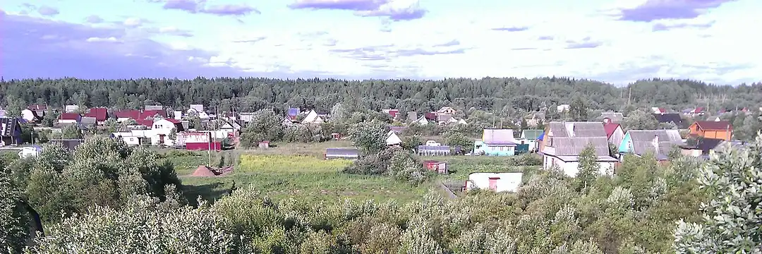 Садоводство Ракитино