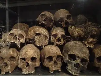 Черепа жертв террора в музее жертв Красного террора в Аддис-Абебе