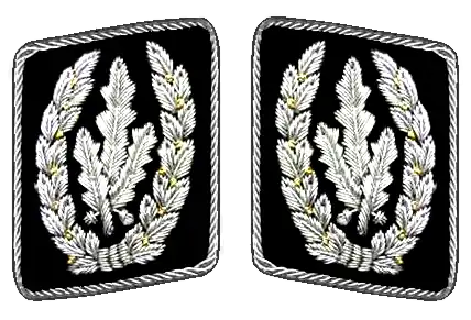 {{{ширина флага}}}