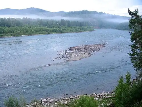 Бия в  верховьях