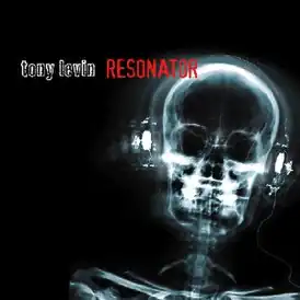 Обложка альбома Тони Левина «Resonator» (2006)