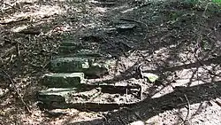 Остатки лестницы от дома Германа Геринга в 2019 г.