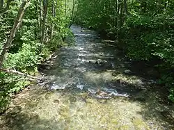 Ревуца в июне 2019 года