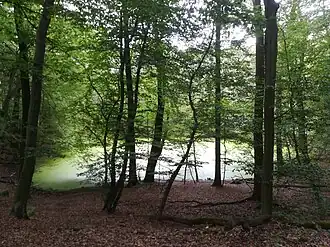 Кратер в заповеднике