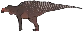 Rhinorex21 декабря 2015 года