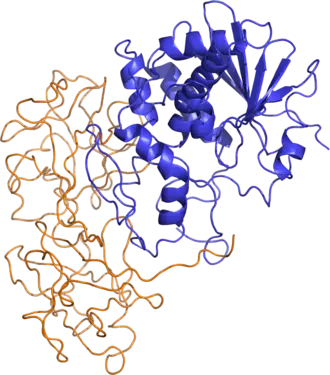 Рицин — растительный белок, токсальбумин, чрезвычайно токсичное и смертельно опасное вещество. Впервые выделен из семян клещевины (Ricinus communis). Общие симптомы при отравлении рицином наступают не сразу, а по истечении некоторого инкубационного периода, равного примерно 18—24 часам. Они проявляются в виде сильного геморрагического гастроэнтерита: коликами и кровянистыми поносами; в дальнейшем появляются признаки общей слабости, оглушение, ослабление сердечной деятельности, конвульсии.