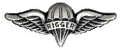 Parachute Rigger Badge