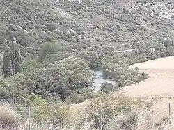 Вид на реку летом 2017 года.