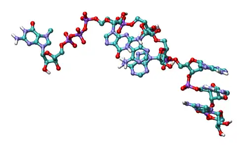Кэп13 февраля 2014