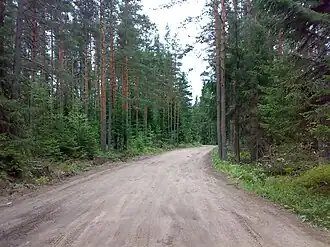 Дорога в Старорусское