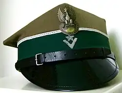 Польские военнослужащие носят четырехугольные фуражки («Конфедератки»), напоминающие головные уборы времён Барской конфедерации