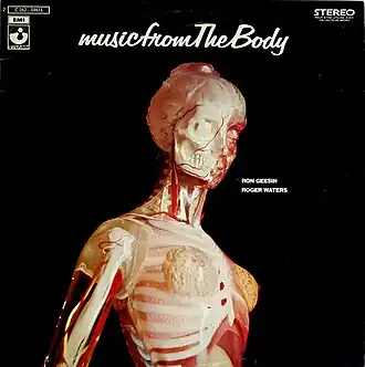 Обложка альбома Роджера Уотерса и Рона Гисина «Music from The Body» ()