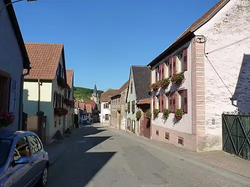 Центральная улица