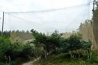 Ловушки станции