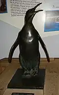 Йозеф Палленберг. Пингвин, Зоопарк Бляйдорп, Роттердам