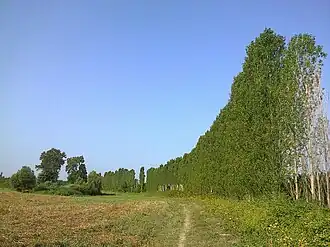 Самур-Яламинский национальный паркВ окрестностях станции