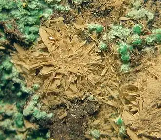 Рёзерфордин из шахты Мусоной, Колвези, Демократическая Республика Конго (поле зрения&nbsp;— 7&nbsp;мм)