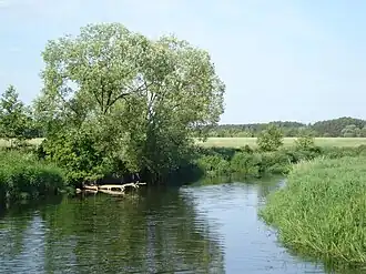 Русская армия обороняла линию реки Вкра.