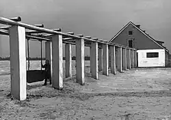 Подвесная дорога для вывоза навоза в свинарнике совхоза "Сауэ", Эстонская ССР, 1953 год.